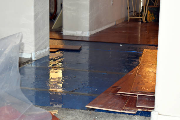 Professional Water Damage Restoration technician working in Lyle, WA